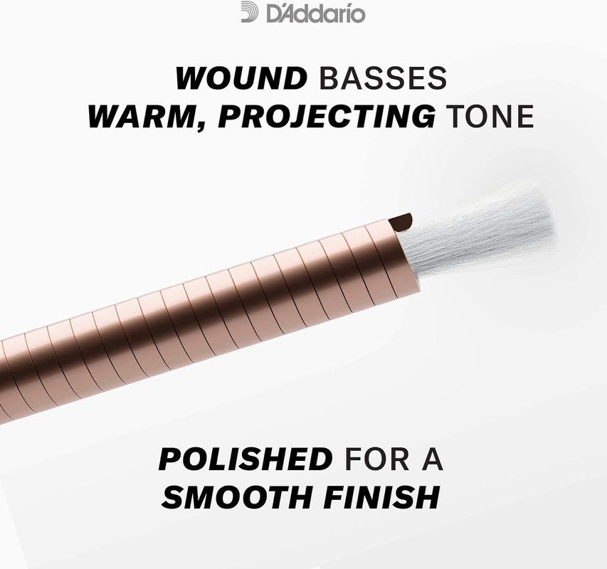 D’Addario Pro-Arté EJ45