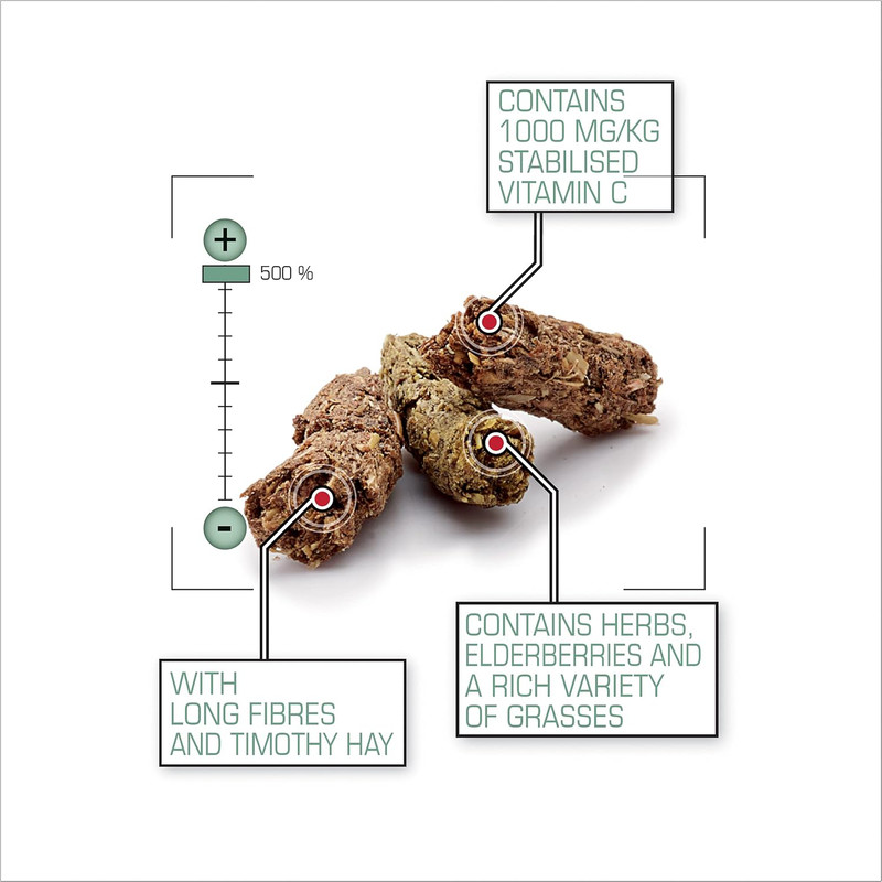 Versele Complete Cavia - karma dla świnek morskich