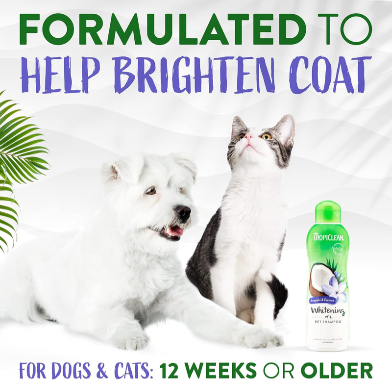 TropiClean Awapuhi & Coconut Whitening Shampoo - idealny dla maltańczyków