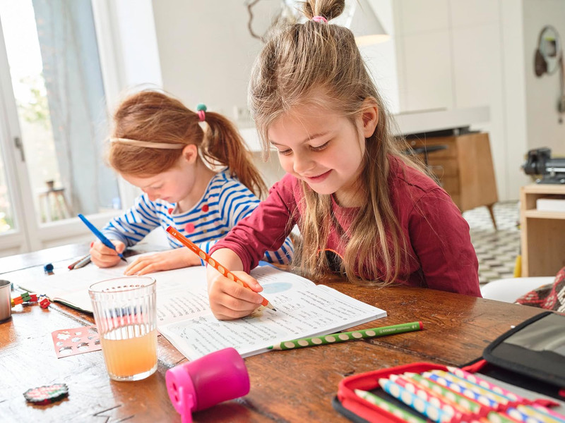 Stabilo Easy Graph D322 HB